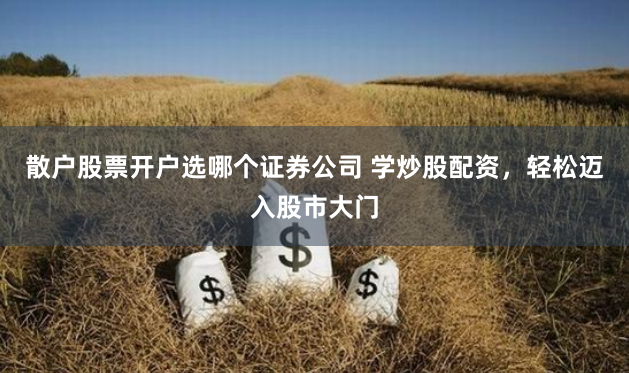 散户股票开户选哪个证券公司 学炒股配资，轻松迈入股市大门